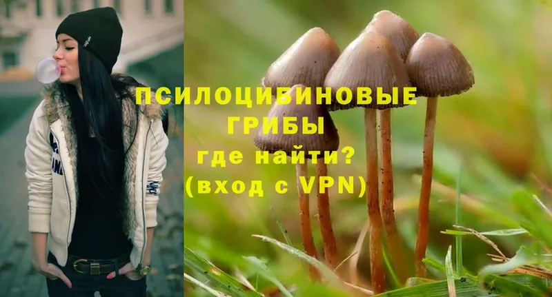 даркнет сайт  Воронеж  Псилоцибиновые грибы Psilocybine cubensis 